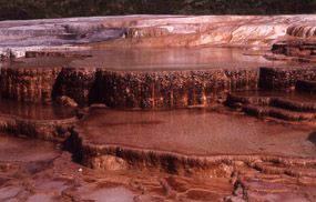 Opal Terrace and Spring