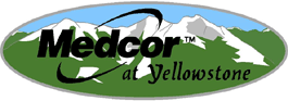 Medcor logo