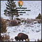 Resource & Issues Cover