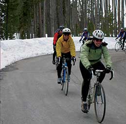 Bicyclists in Yellowstone