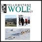 Cover of annual wolf report