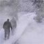 Steam and snow cover a boardwalk with visitors walking single file on it.