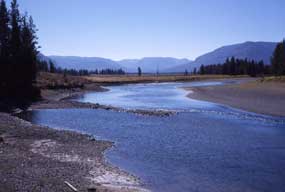 Yellowstone River, looking south in the Thorofare area