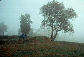 Cannon on British defenses