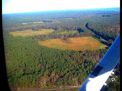 Aerial view of forest on Yorktown Battlefield