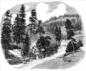 Lithograph showing cascade from In the Hearth of the Sierras by JM Hutchings, 1888