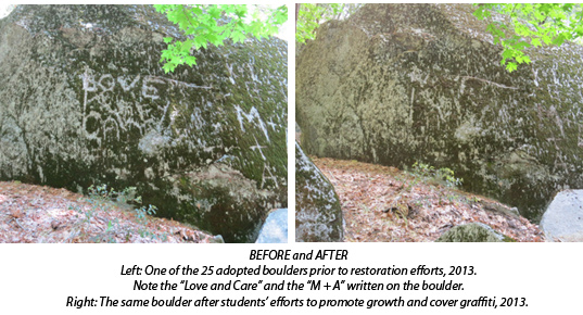 BEFORE and AFTER Left: One of the 25 adopted boulders prior to restoration efforts, 2013. Note the “Love and Care” and the “M + A” written on the boulder. Right: The same boulder after students’ efforts to promote growth and cover graffiti, 2013. 