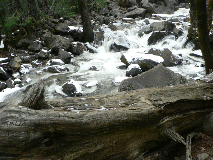 Carved graffiti on a log near Bridalveil Creek.