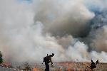 Chapel Meadow Prescribed Fire