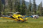 Helicopters in El Capitan Meadow
