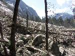 Mirror Lake loop trail damage