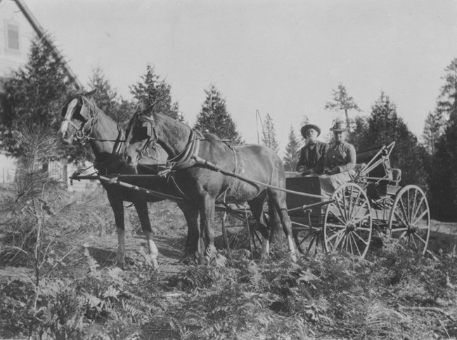 Couple sits in horse-drawn wagon