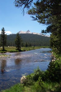 Fifty-four miles of the Tuolumne Wild & Scenic River flow through Yosemite National Park.