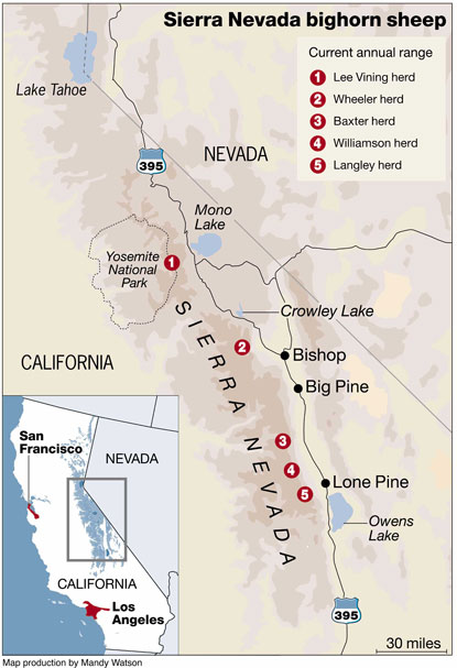 Map shows locations of sheep herds