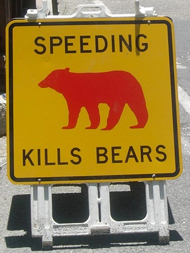 Speeding Kills Bears sign