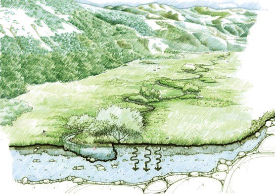 graphic of a pristine meadow landscape