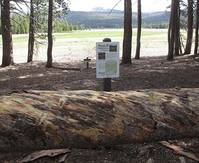 Meadow closure sign at Pothole Dome