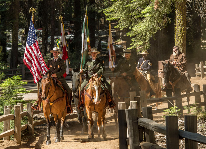 Rangers and others riding through the Mariposa Grove on horseback
