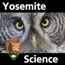 great gray owl face inside logo