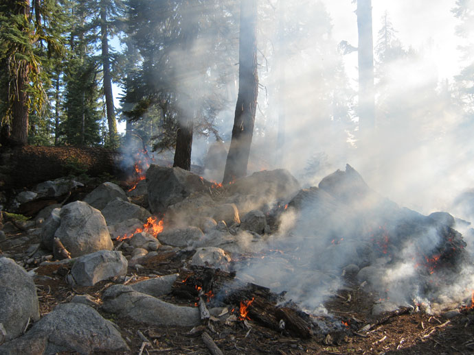 Flames burning forest floor debris amongst rocks