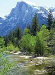 Merced River flows among the riparian vegetation and mountains.
