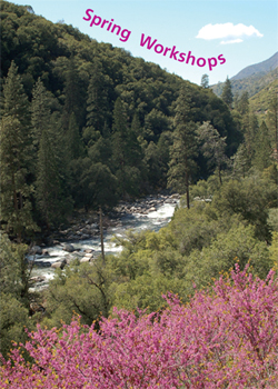 \\INPYOSEMS22\Users\intp\LLeao\WEB_\MRP\MRP_images\spring_workshops_