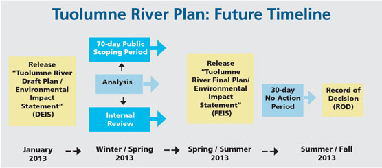graphic with chronological timeline