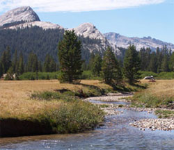 View of Lembert Dome and Tuolumne River. View of Lembert Dome and Tuolumne River.