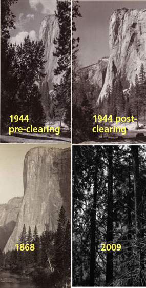 Four views from 1868, 1944 pre-clearing, 1944 post-clearing, and 2009