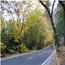 Road Conditions