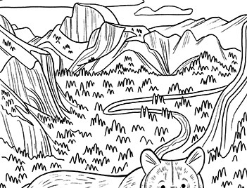 Coloring sheet with line drawings of Half Dome, trees, cliffs, and a bear.