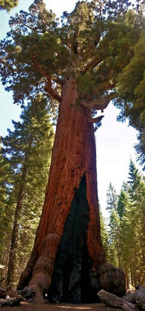 Discover Our National Parks