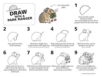 Image of step-by-step instructions for drawing a pika
