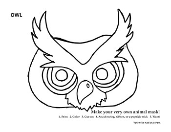 A black and white line drawing of an owl mask