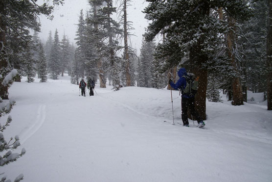 Skiers skiing while snow falls