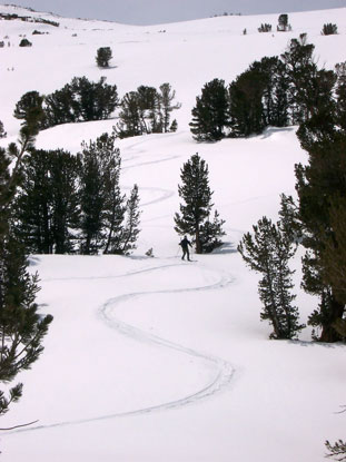 Person skiing down hill in the backcountry