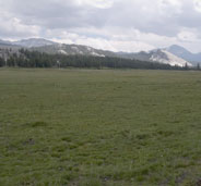 Lembert Dome and mountain peaks rise behind green Tuolumne Meadows Lembert Dome and mountain peaks rise behind green Tuolumne Meadows