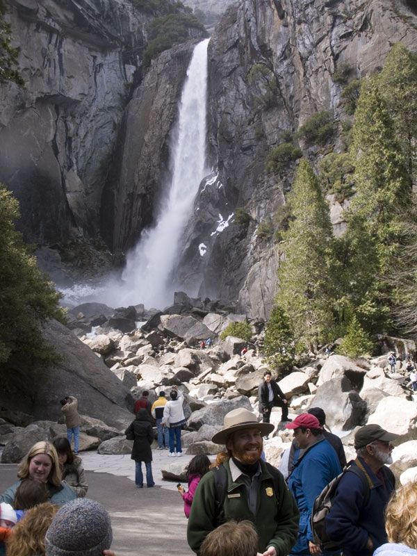are dogs allowed in yosemite key to enjoying pet friendly yosemite national park is planning far in advance pet are dogs allowed in yosemite key to enjoying pet friendly yosemite national park is planning far in advance pet