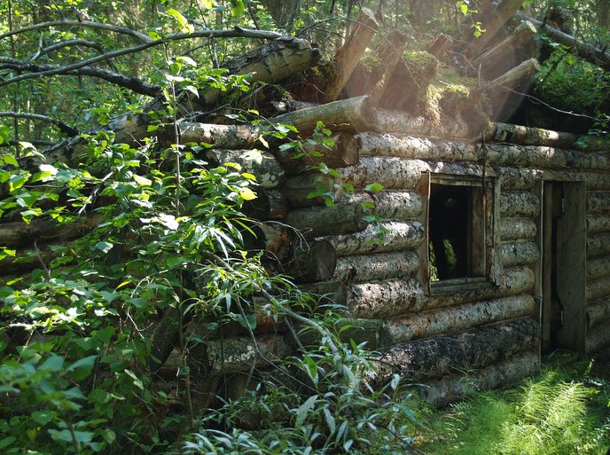 Big Bob Tepley's New Moon Saloon cabin ruin on the Kandik river in 2006