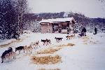 Musher departing Slaven's Roadhouse