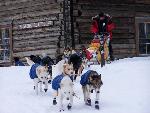 Musher leaving Slaven's Roadhouse