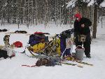 Yukon Quest Musher and Dogs