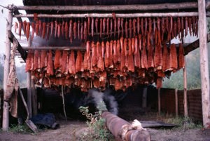 Salmon drying at a 40-Mile River subsistence camp in 1983.