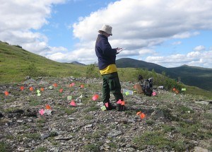 Staff archaeologist documenting a prehistoric archaeology site in the Yukon-Tanana uplands.
