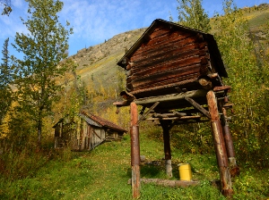 The food cache stands tall in front of the Nation Bluff Public Use Cabin