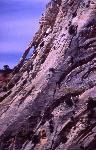 Hidden Arch