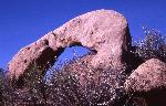 Chinle Trail arch