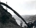 Historic Crawford Arch