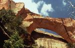 Kolob Arch