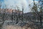 Kolob Fire3